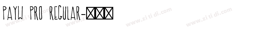 PAYW Pro Regular字体转换 PAYW Pro Regular字体转换
